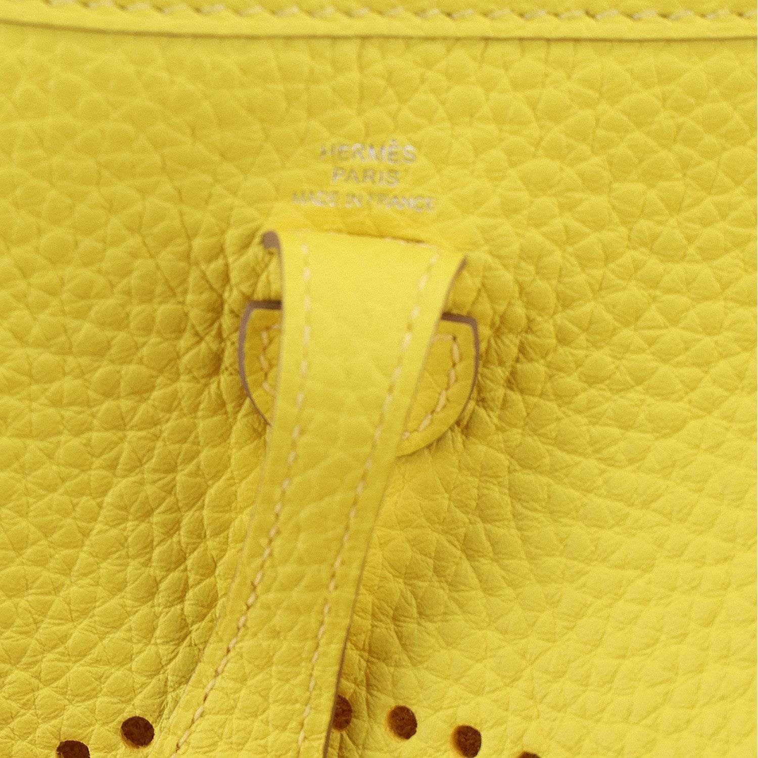 Taurillon Clemence Evelyne TPM Limoncello