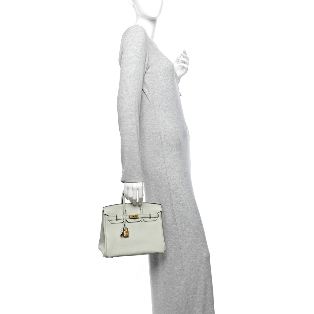 Togo Birkin 25 Gris Neve