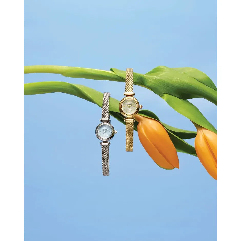EG7081-51L