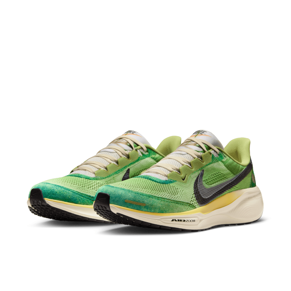 Air Zoom Pegasus 41 For Men