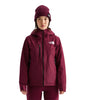 The North Face Descendit Jacket - Women's | Waterproof Insulated Ski Jacket