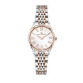 Philip Watch Roma Women's Watch R8253217507
