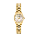 Philip Watch Caribe Urban Women's Watch R8253597686