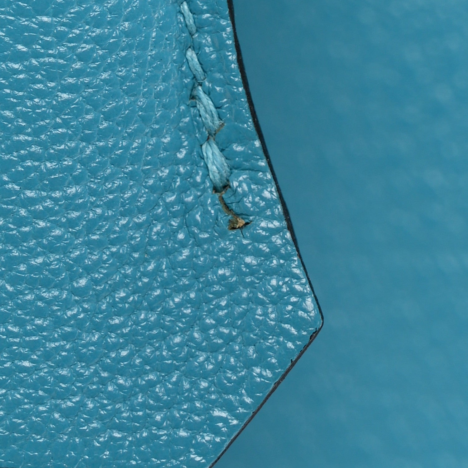 Chevre de Coromandel Birkin 30 Turquoise