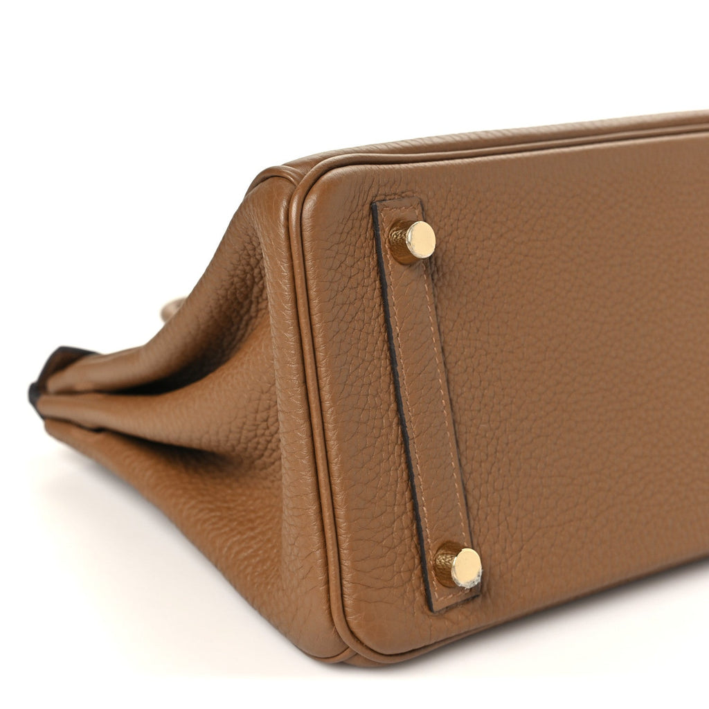 Togo Birkin 25 Alezan