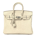 Matte Alligator Birkin 25 Beton
