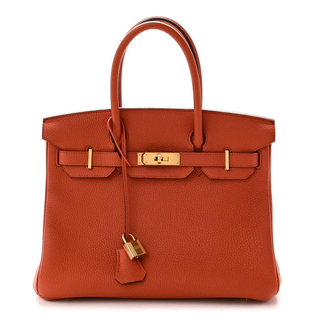 Togo Birkin 30 Terre Battue