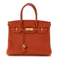 Togo Birkin 30 Terre Battue