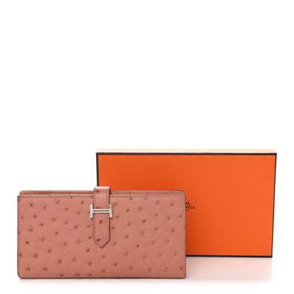 Ostrich Bearn Gusset Wallet Terre Cuite