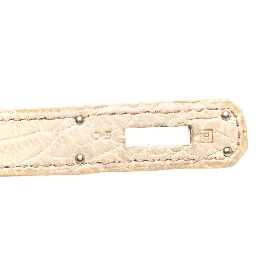 Matte Niloticus Crocodile Birkin 30 Parchemin