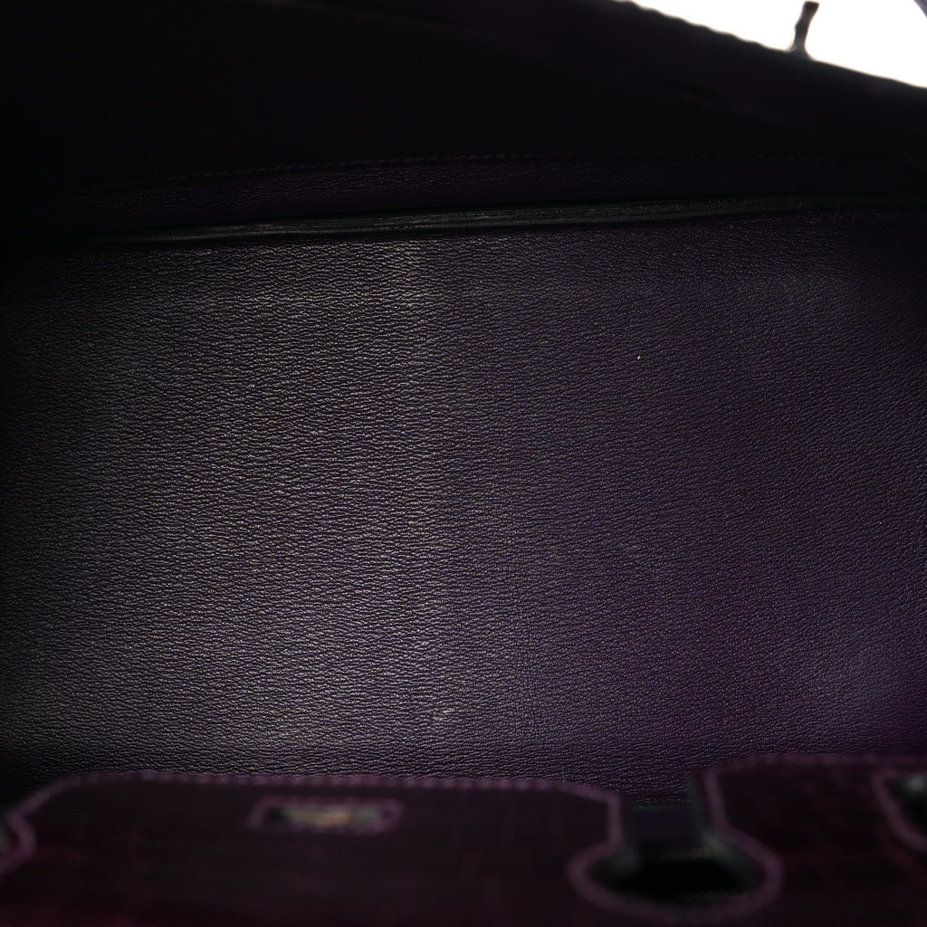 Shiny Niloticus Crocodile Birkin 30 Amethyst