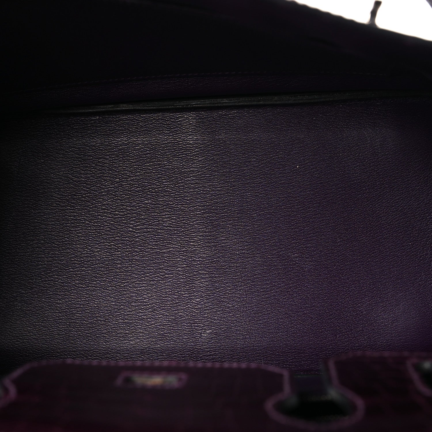 Shiny Niloticus Crocodile Birkin 30 Amethyst