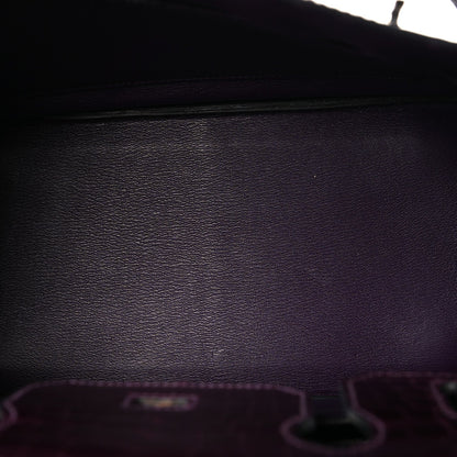 Shiny Niloticus Crocodile Birkin 30 Amethyst