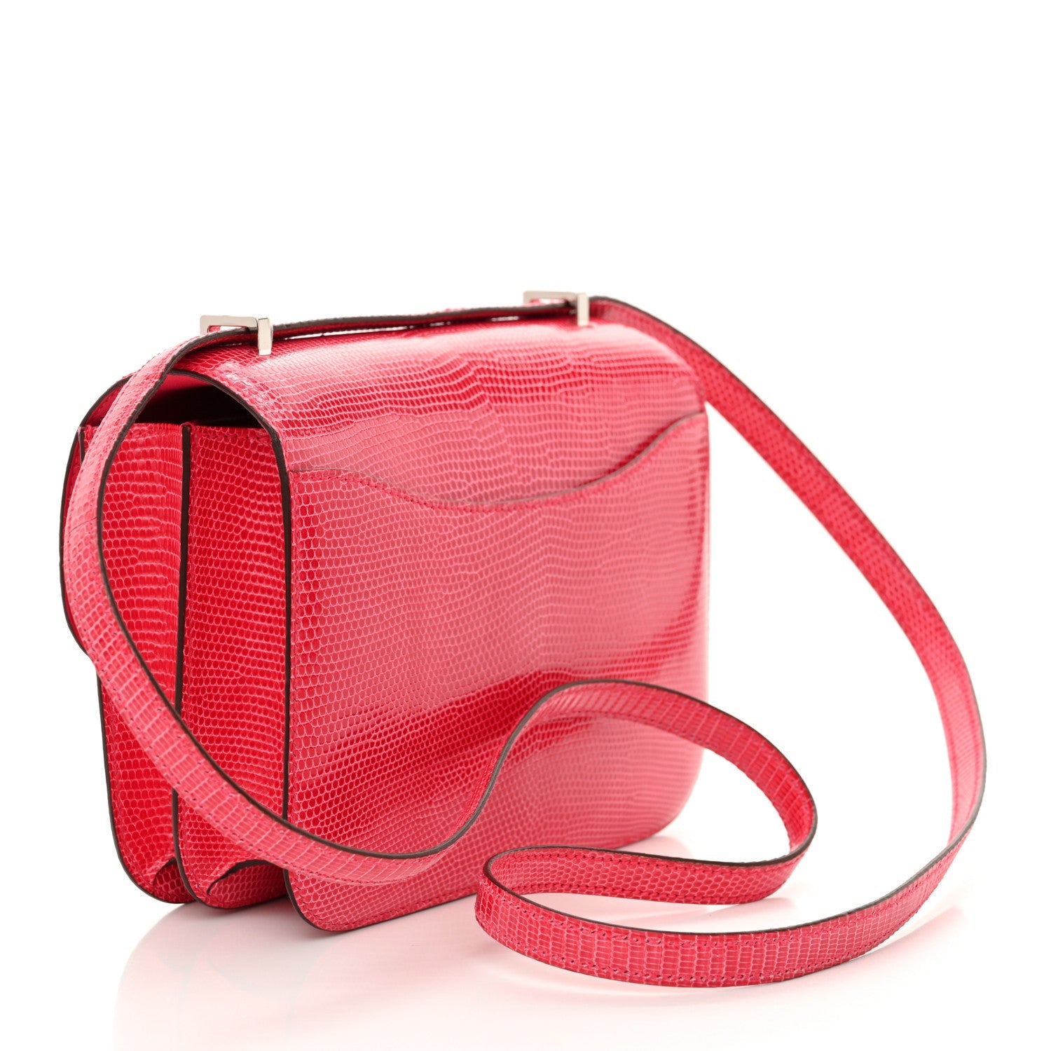 Lizard Constance 18 Rose Extreme