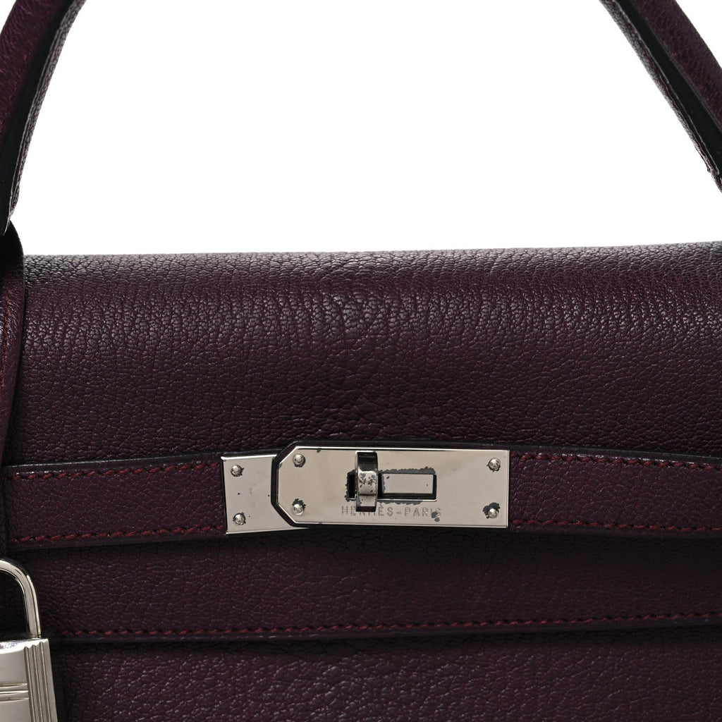 Chevre Mangalore Kelly Retourne 32 Quetsche
