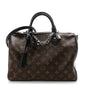 Monogram Speedy Soft 30 Dark
