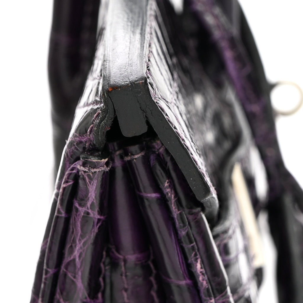 Shiny Niloticus Crocodile Birkin 30 Amethyst