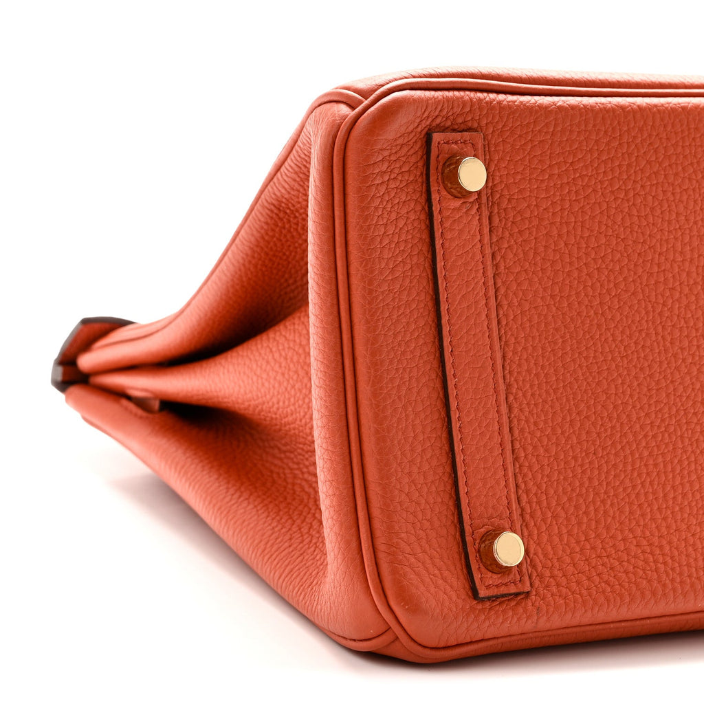 Togo Birkin 30 Terre Battue