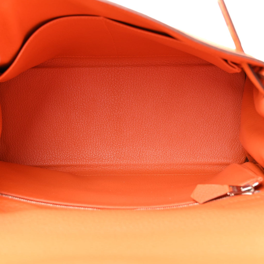 Taurillon Clemence Kelly Retourne 28 Orange