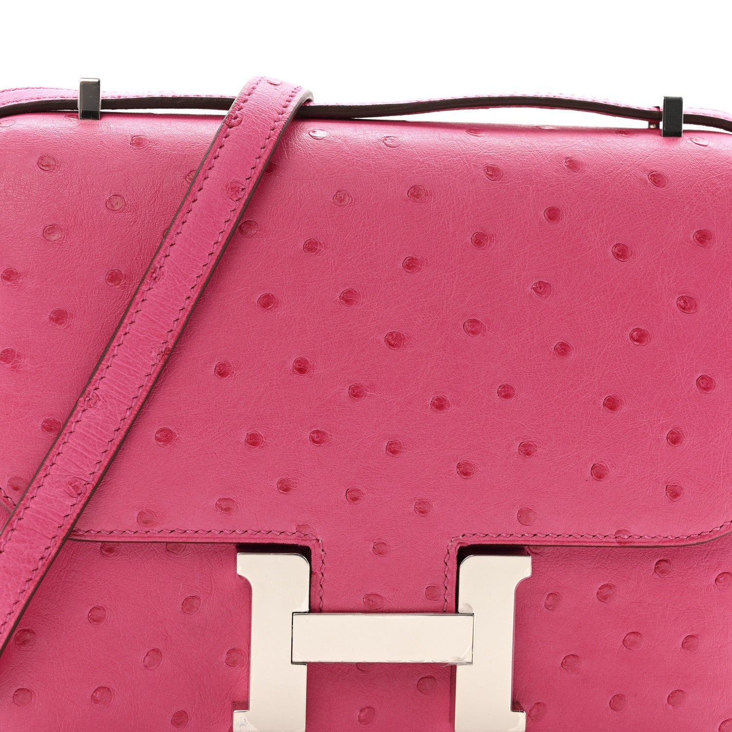 Ostrich Constance 18 Rose Tyrien