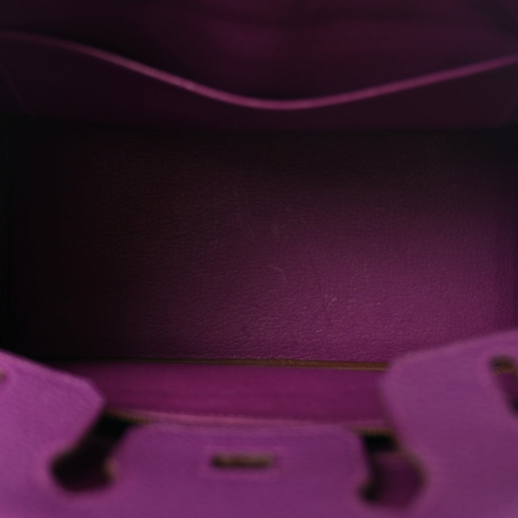 Togo Birkin 25 Anemone