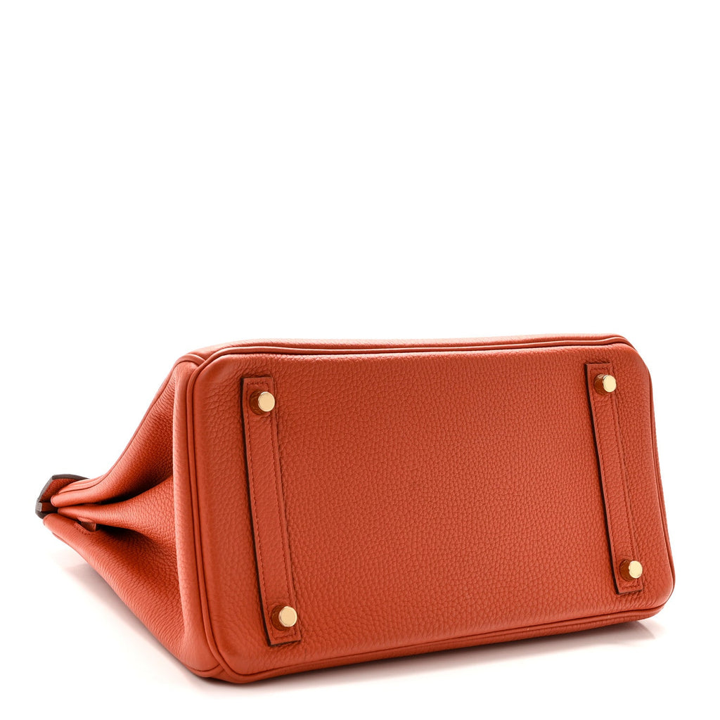 Togo Birkin 30 Terre Battue