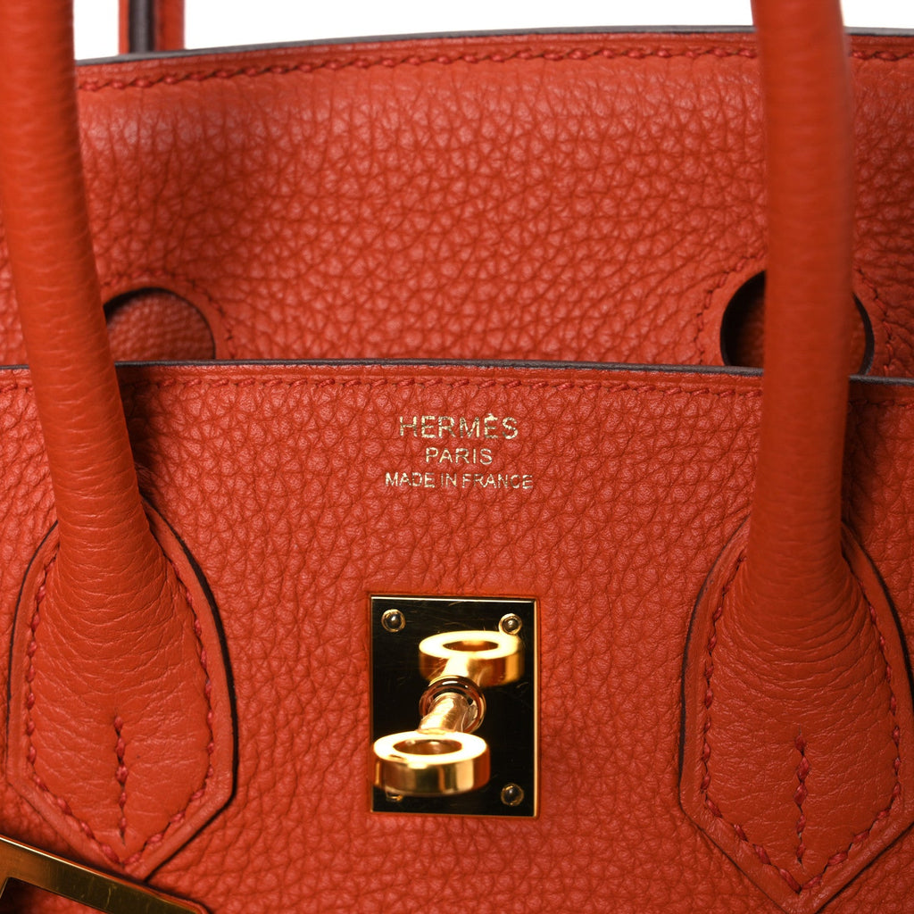 Togo Birkin 25 Terre Battue