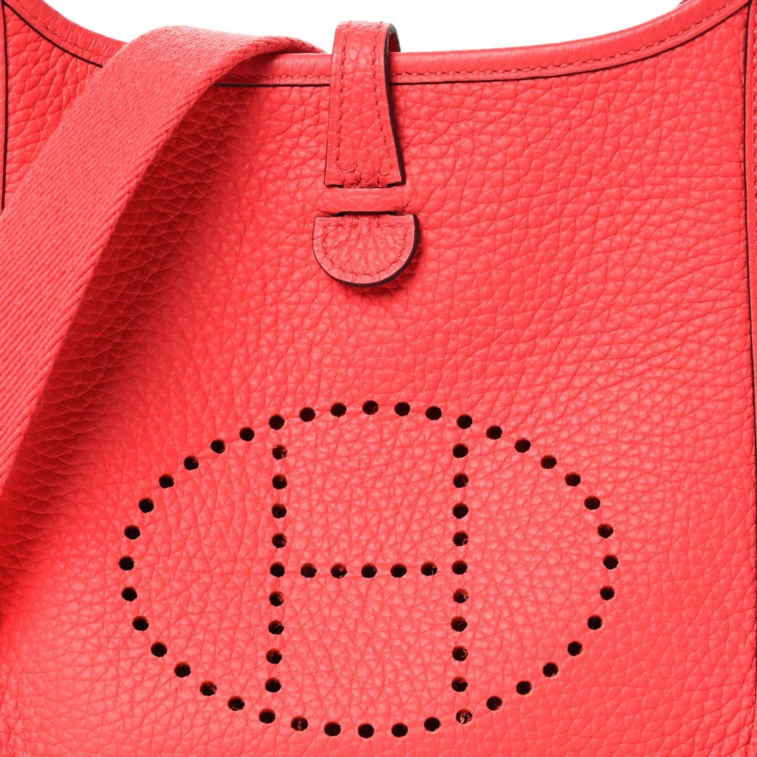 Taurillon Clemence Evelyne TPM Rose Jaipur
