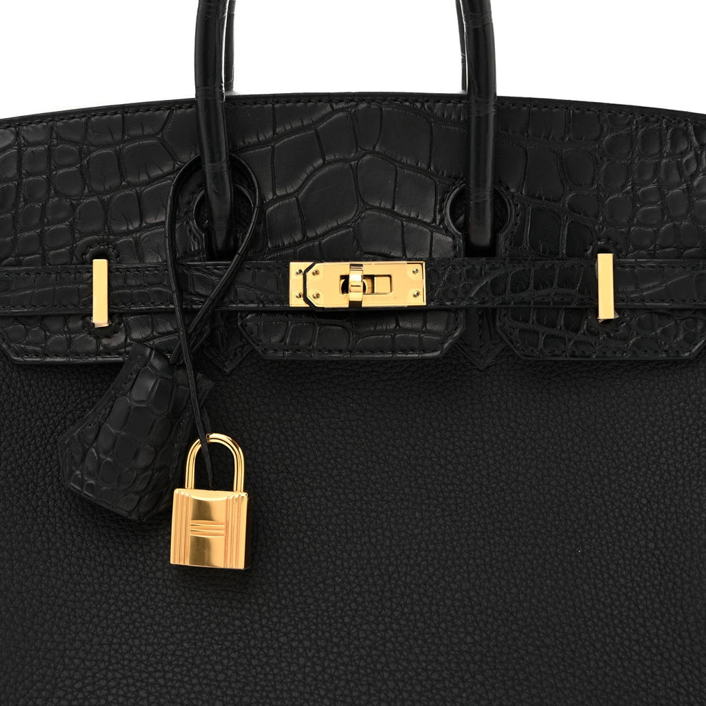 Togo Matte Alligator Birkin Touch 25 Black