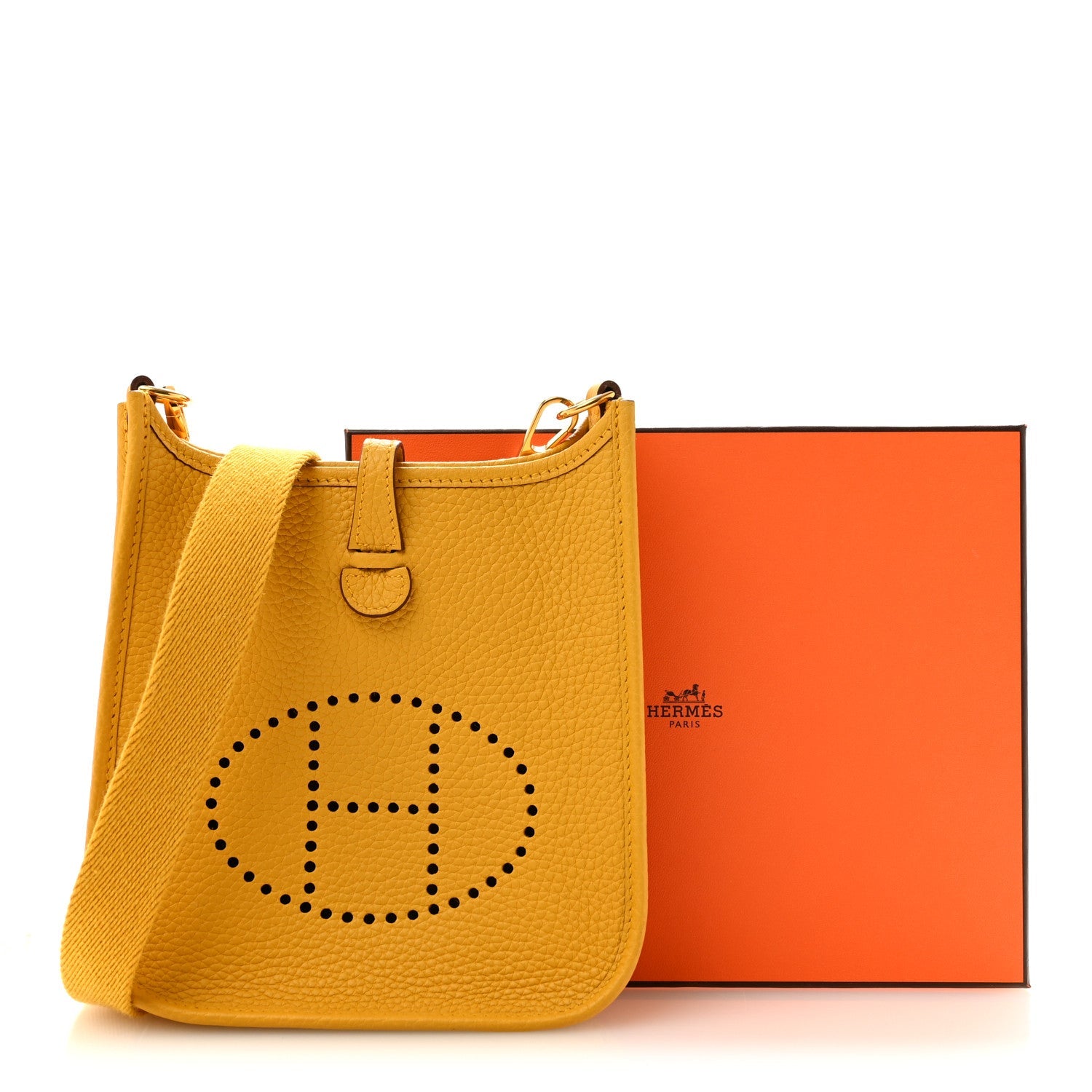 Taurillon Clemence Evelyne TPM Sun