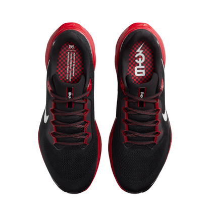 Air Zoom Pegasus 41 For Men