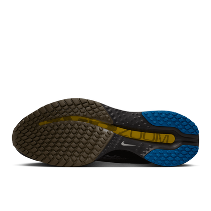 Air Zoom Pegasus Premium For Men