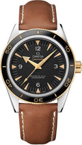 Omega Seamaster 233.22.41.21.01.001