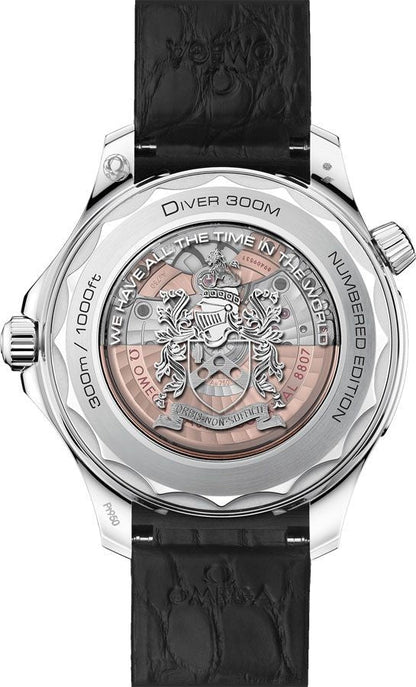 Omega Seamaster Limited 1 of 50 Platinum James Bond 210.93.42.20.01.001