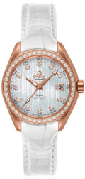Omega Seamaster Aqua Terra 231.58.30.20.55.001