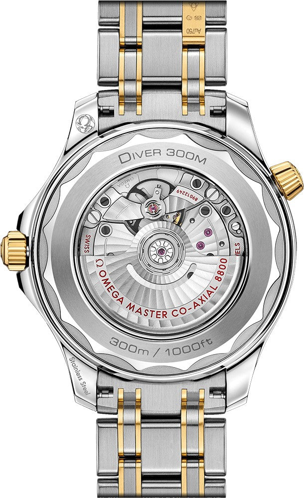 Omega Seamaster 42mm Men's Luxury Watch 210.20.42.20.01.002