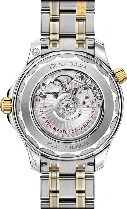 Omega Seamaster 42mm Men's Luxury Watch 210.20.42.20.01.002