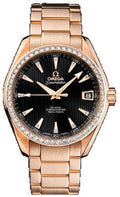 Omega Seamaster Aqua Terra 231.55.39.21.51.001