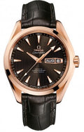 Omega Seamaster Aqua Terra 231.53.43.22.06.001